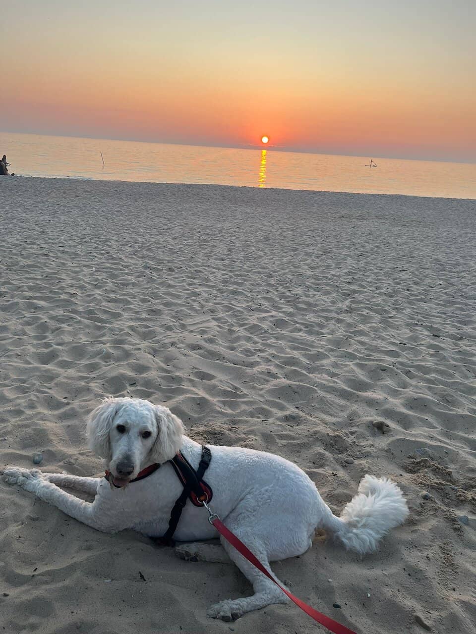 Crystal Clear Turquoise Waters
