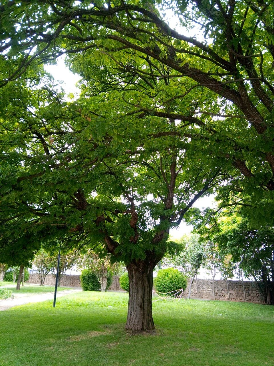 Vertical photo