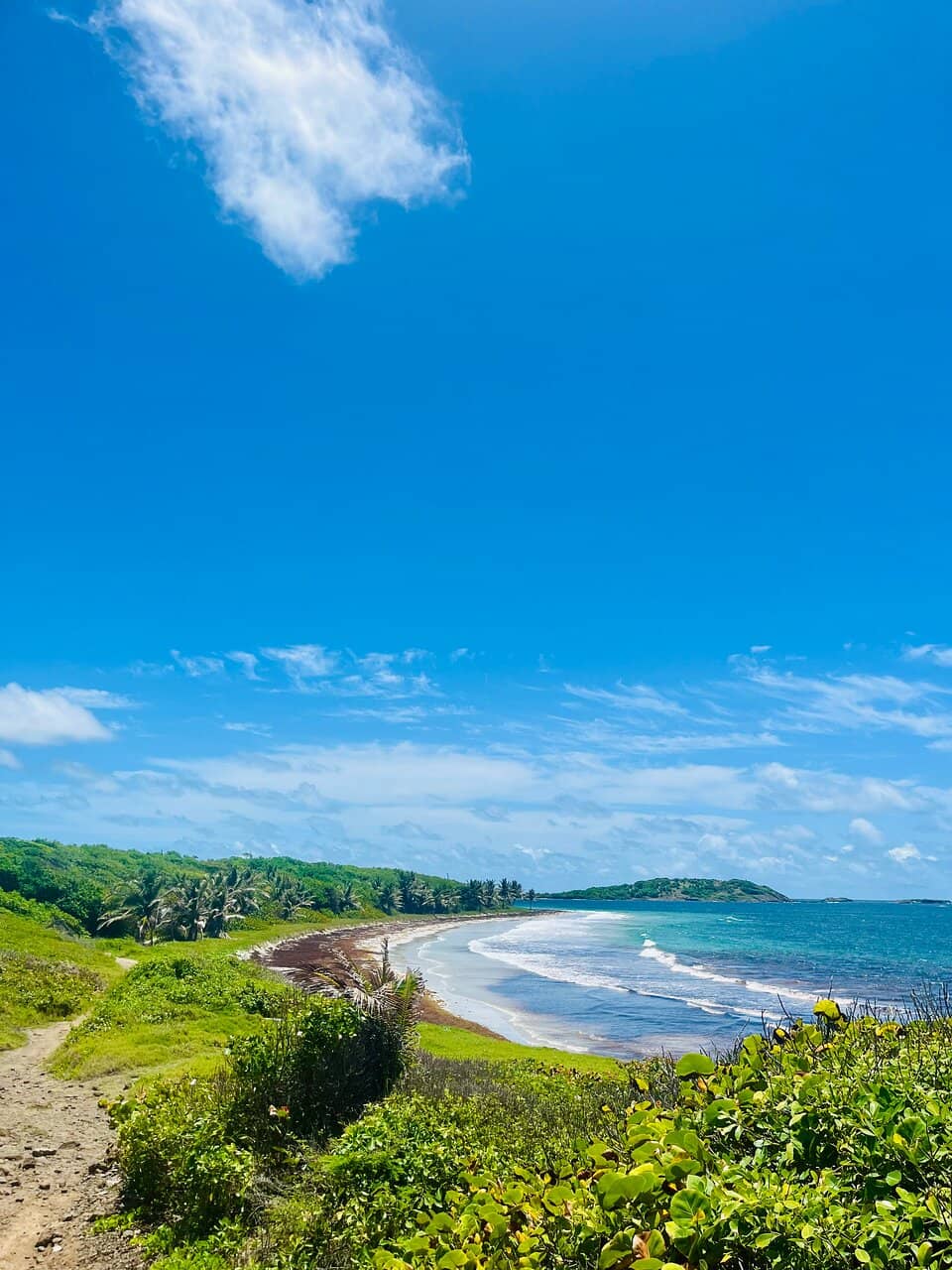 Secluded Tropical Beach