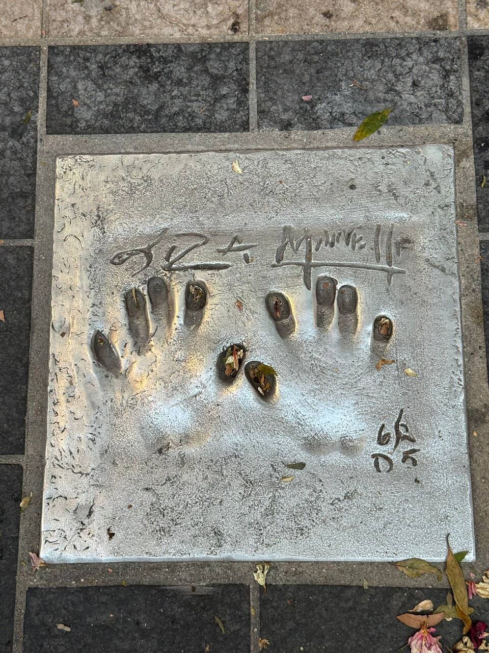 Palais des Festivals