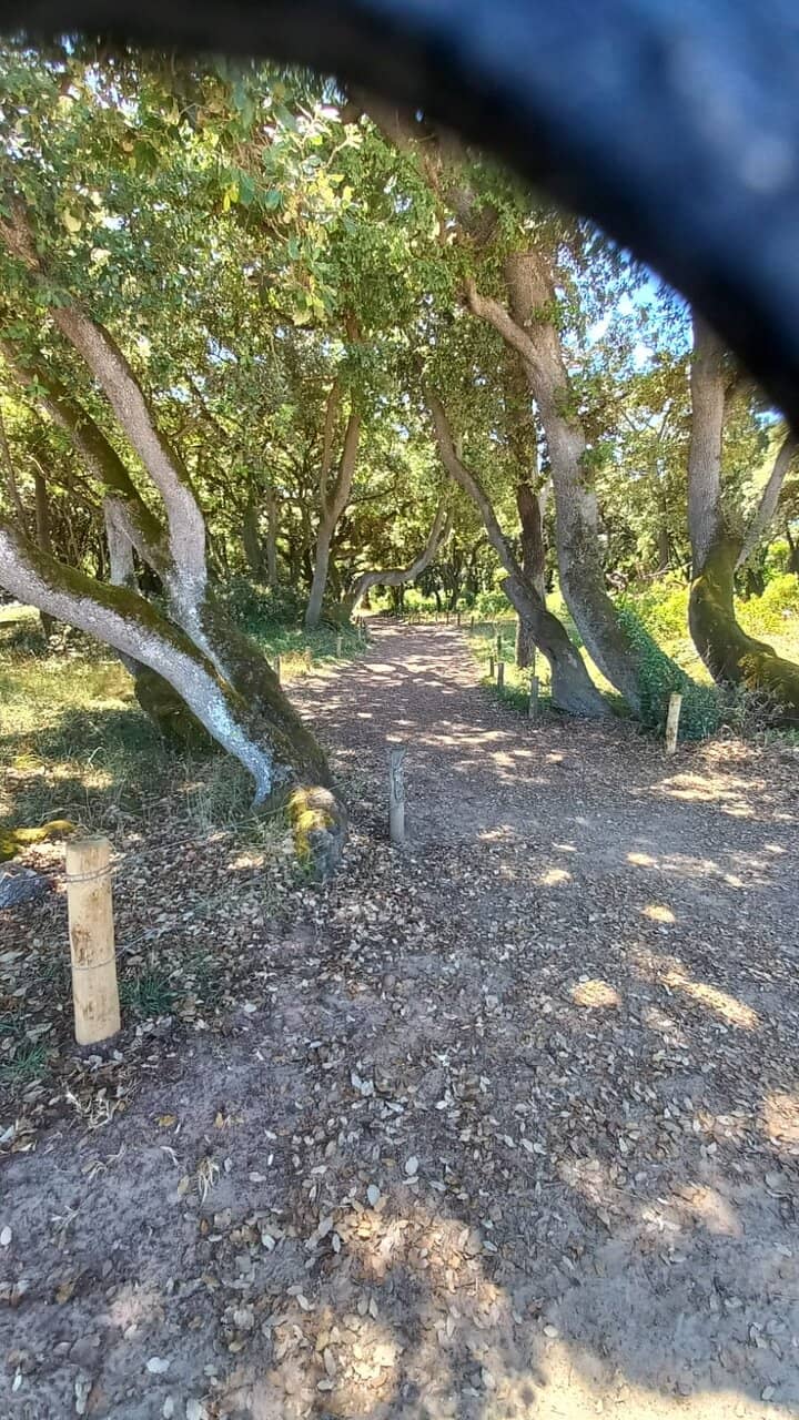 Bois de la Chaise