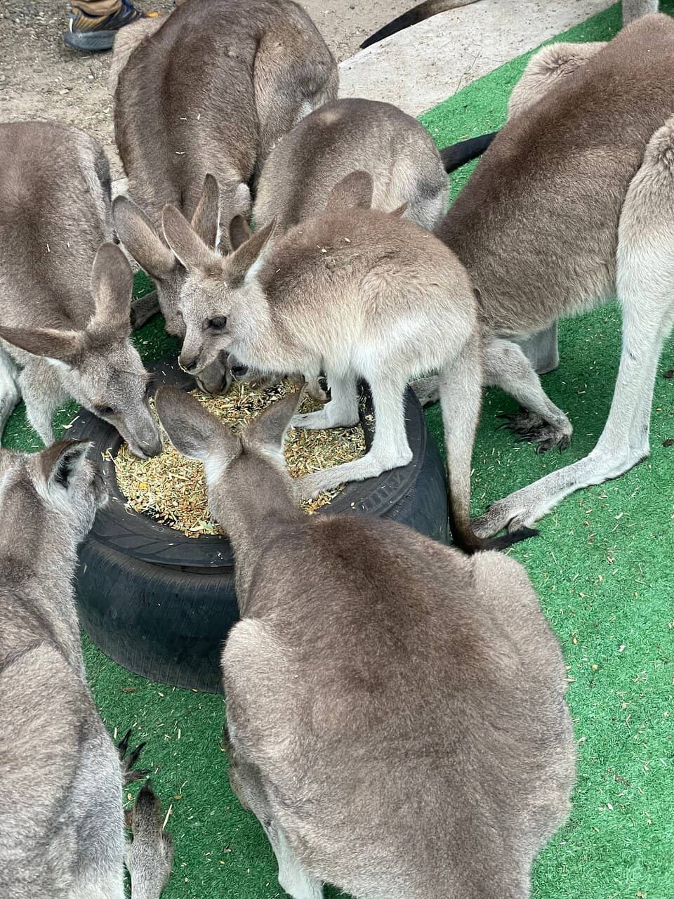 Stunning Remote Location