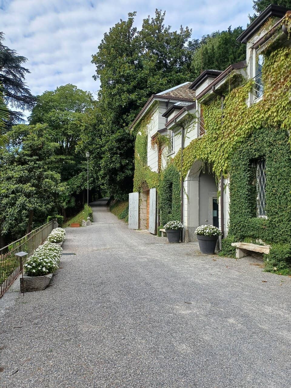 Botanical Gardens & Art