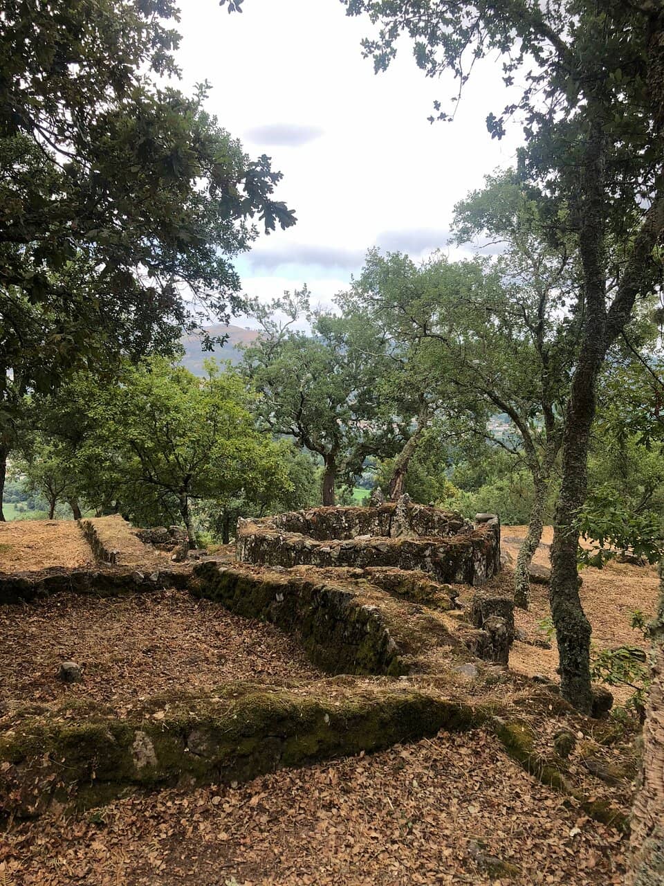 Hilltop Views