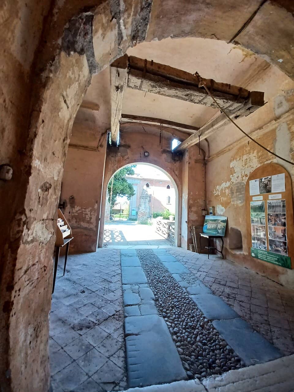 Art and Nature Exhibitions