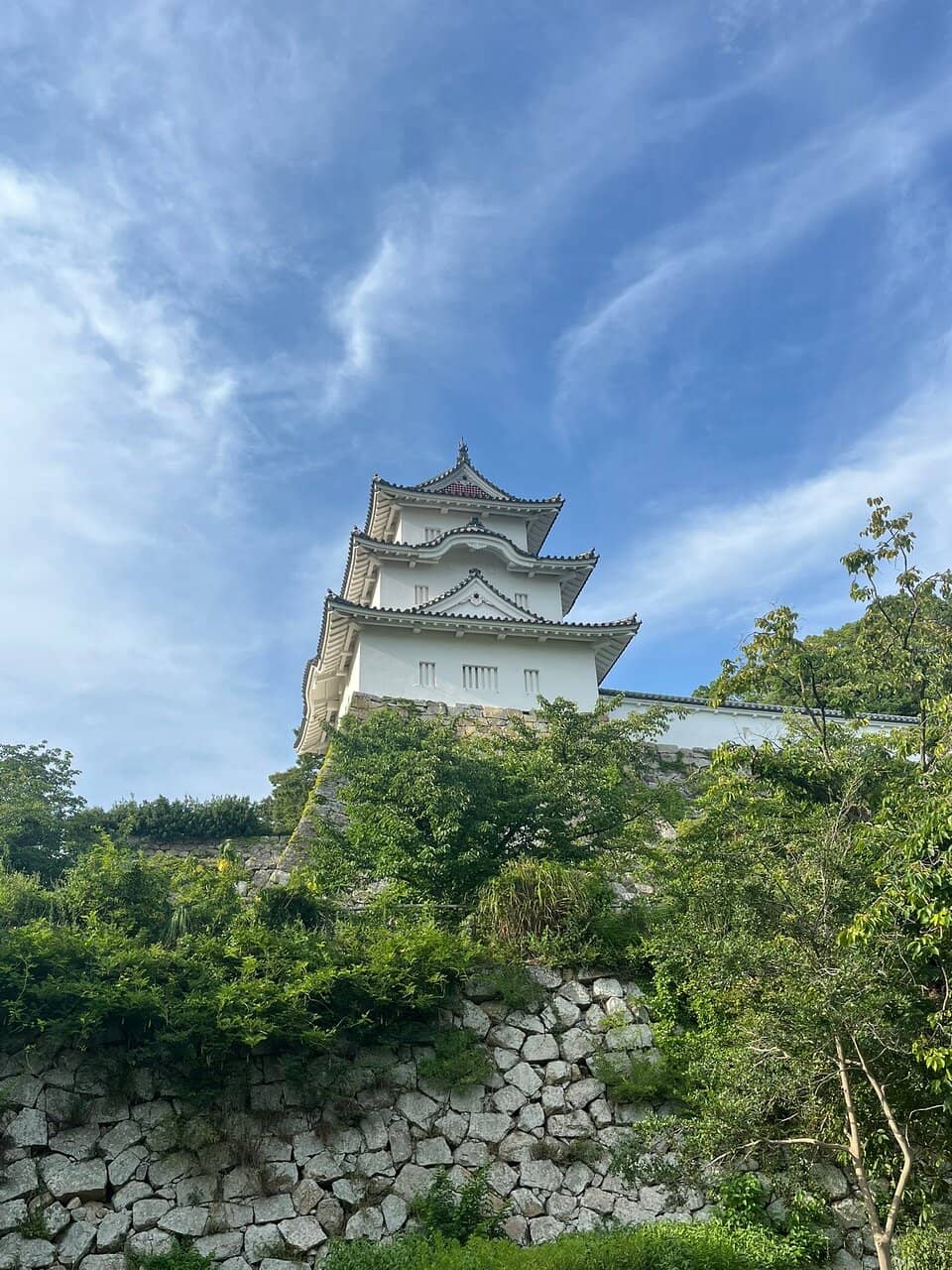 Panoramic City Views