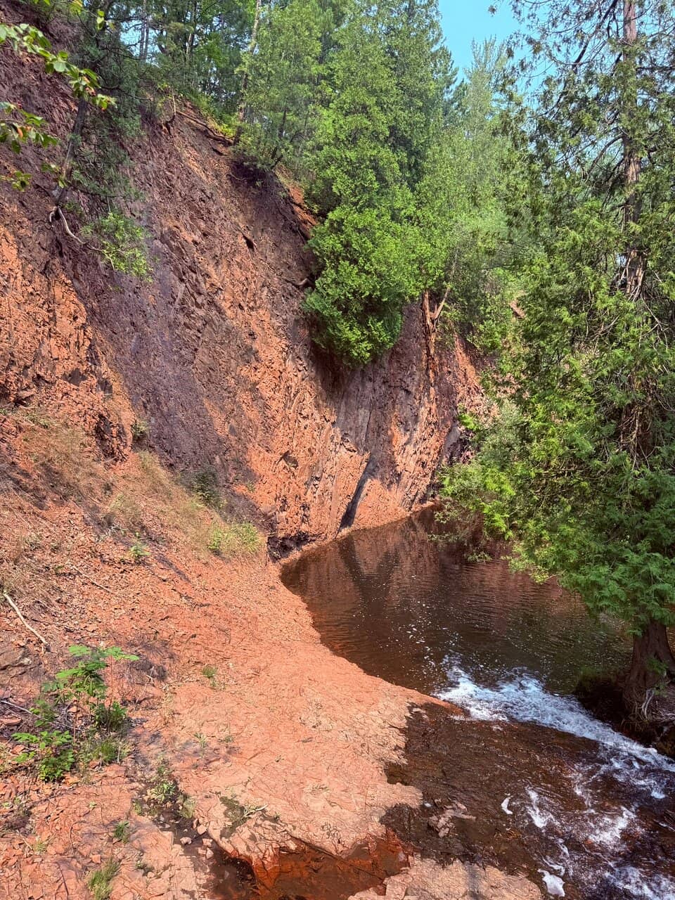 Congdon Park Trails