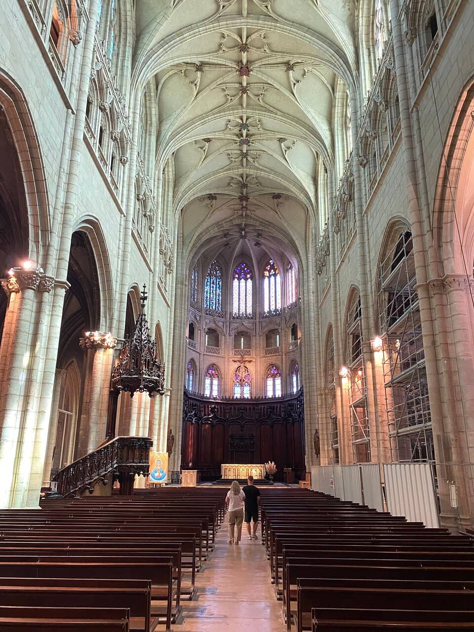 Organ Gallery
