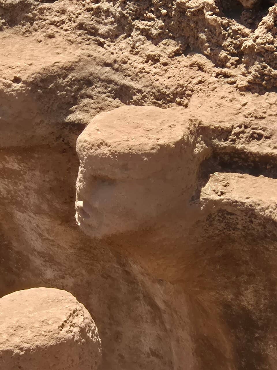 T-Shaped Columns