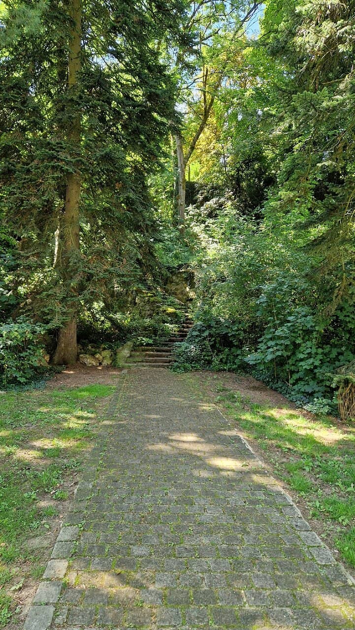 Ravine Escape
