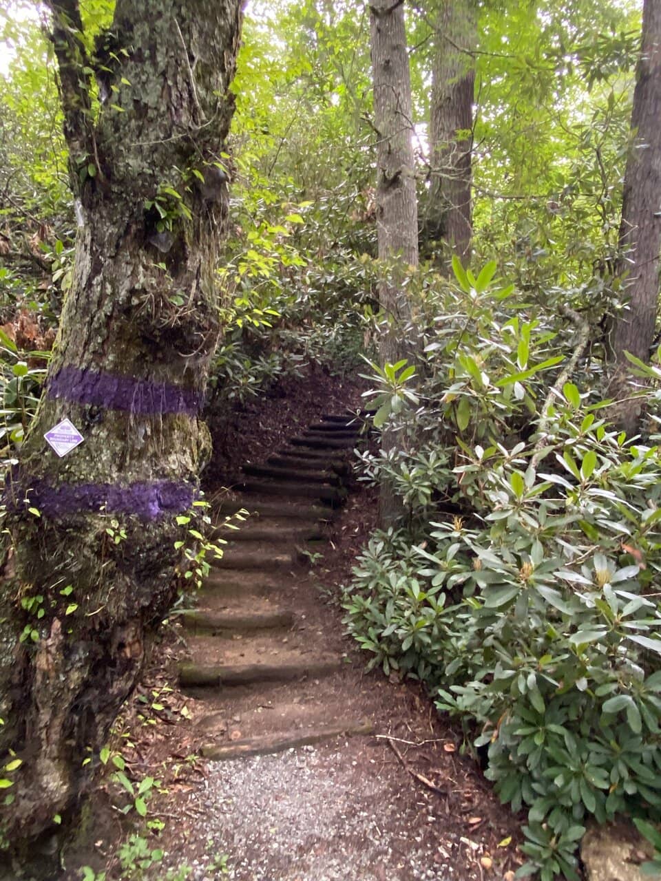 Native Plant Trails