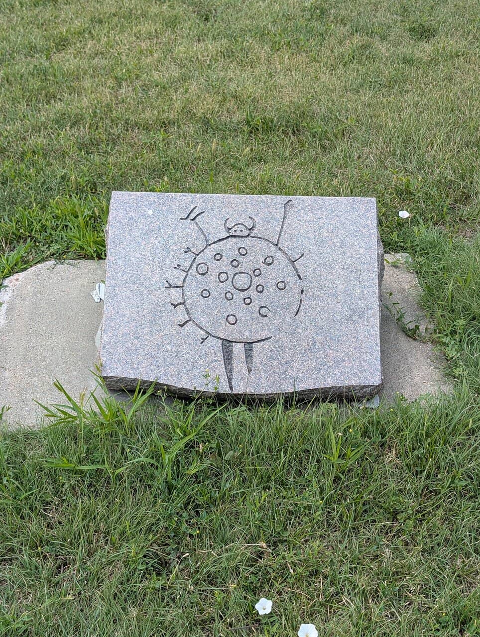 Bison Processing Exhibit