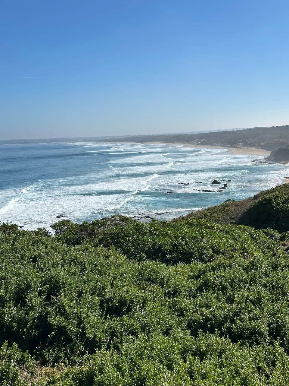 Coastal Walk & Wildlife