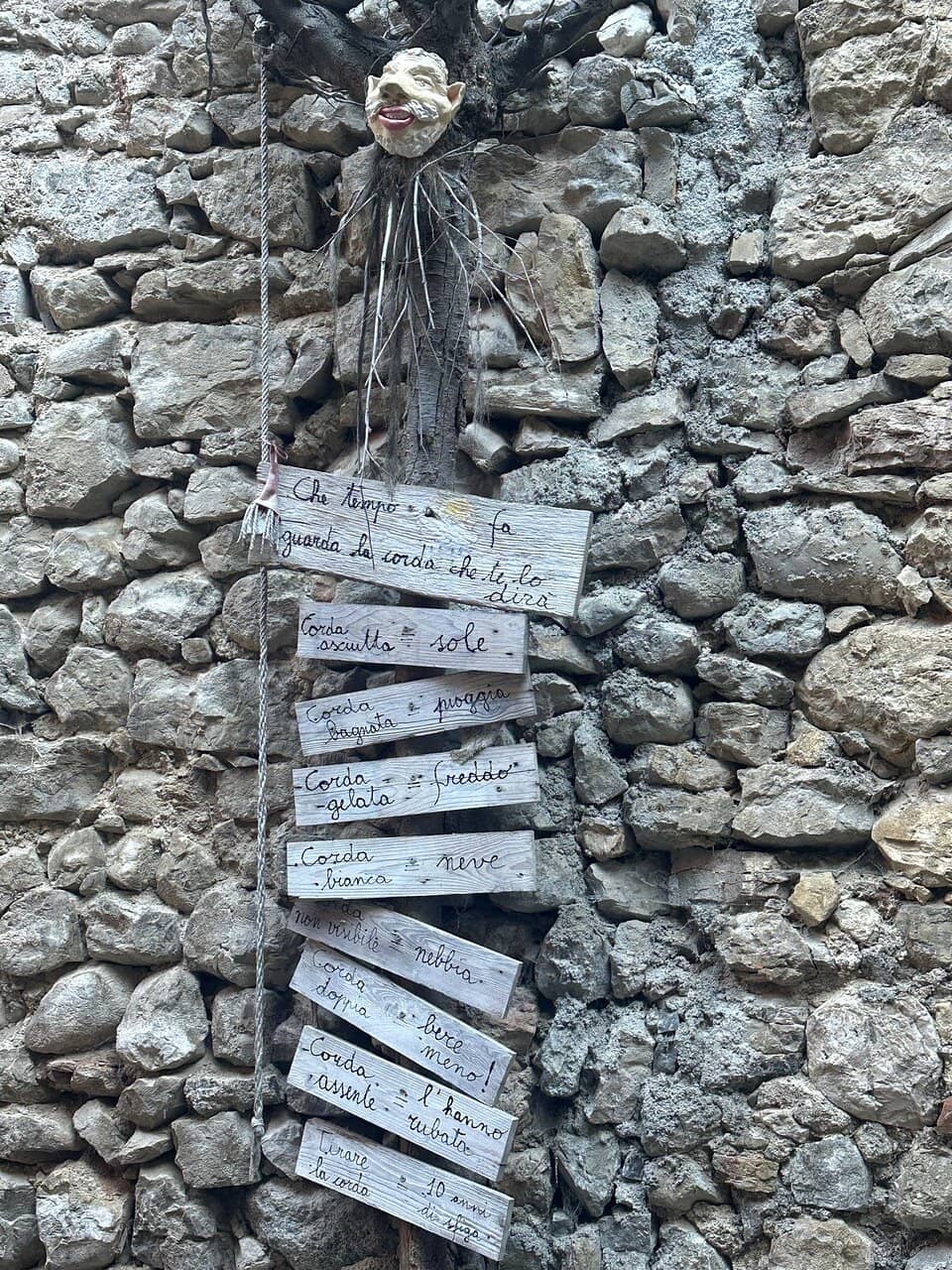 Vertical photo