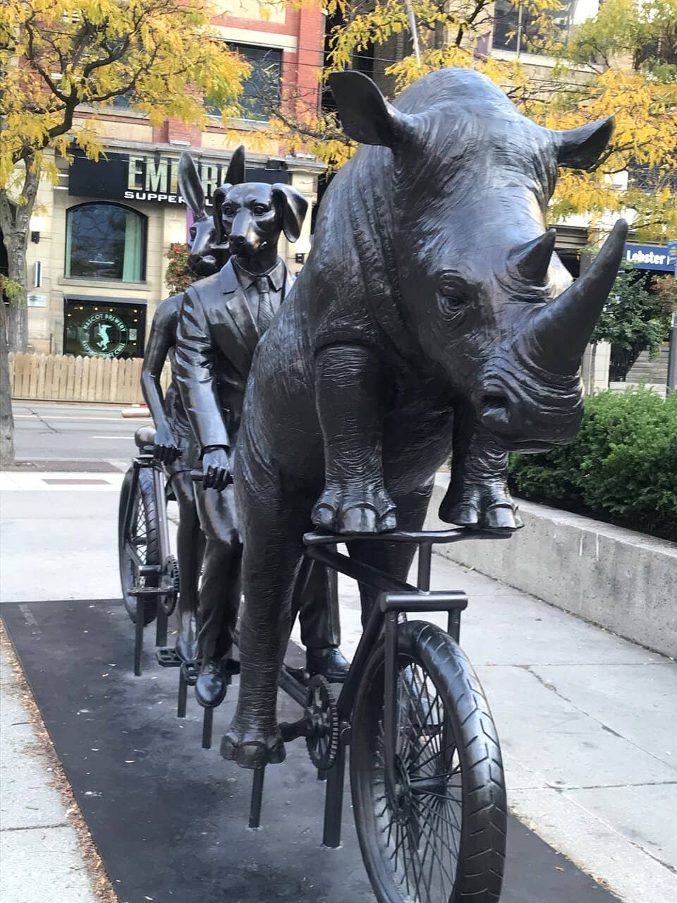 Outdoor Movie Screenings