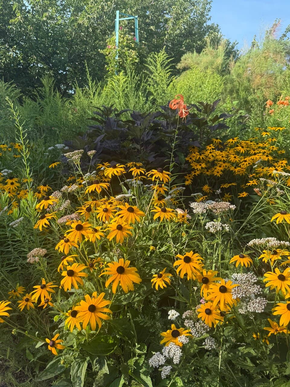 Third hero image