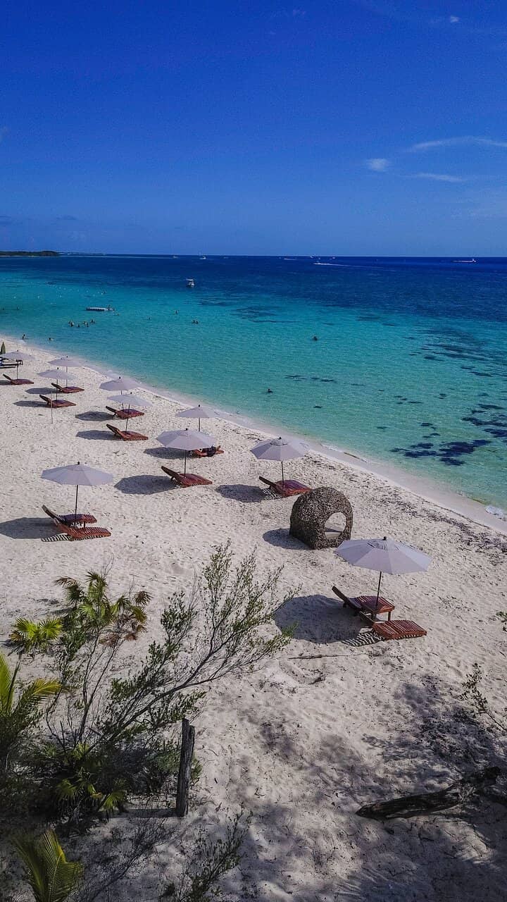 Abundant Marine Life