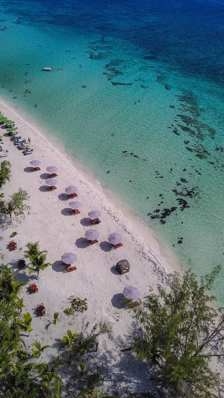 Vibrant Coral Formations