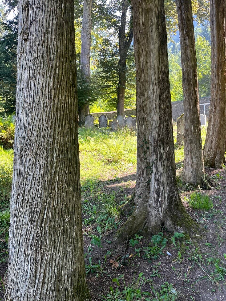 Historic Gravestones