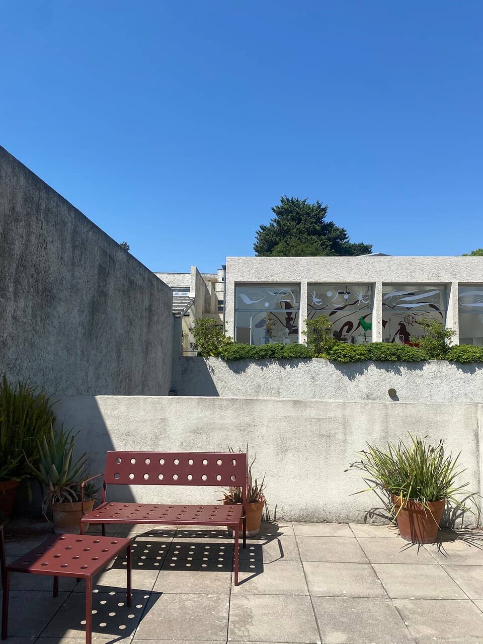 Art Exhibitions & Festivals