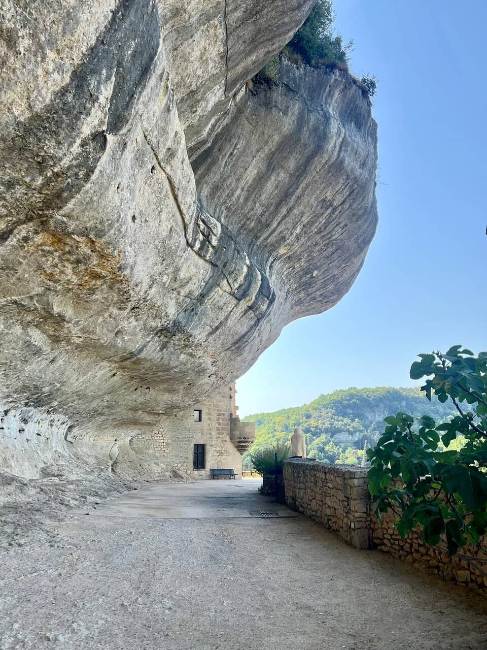 Cave Wall Drawings & Replicas