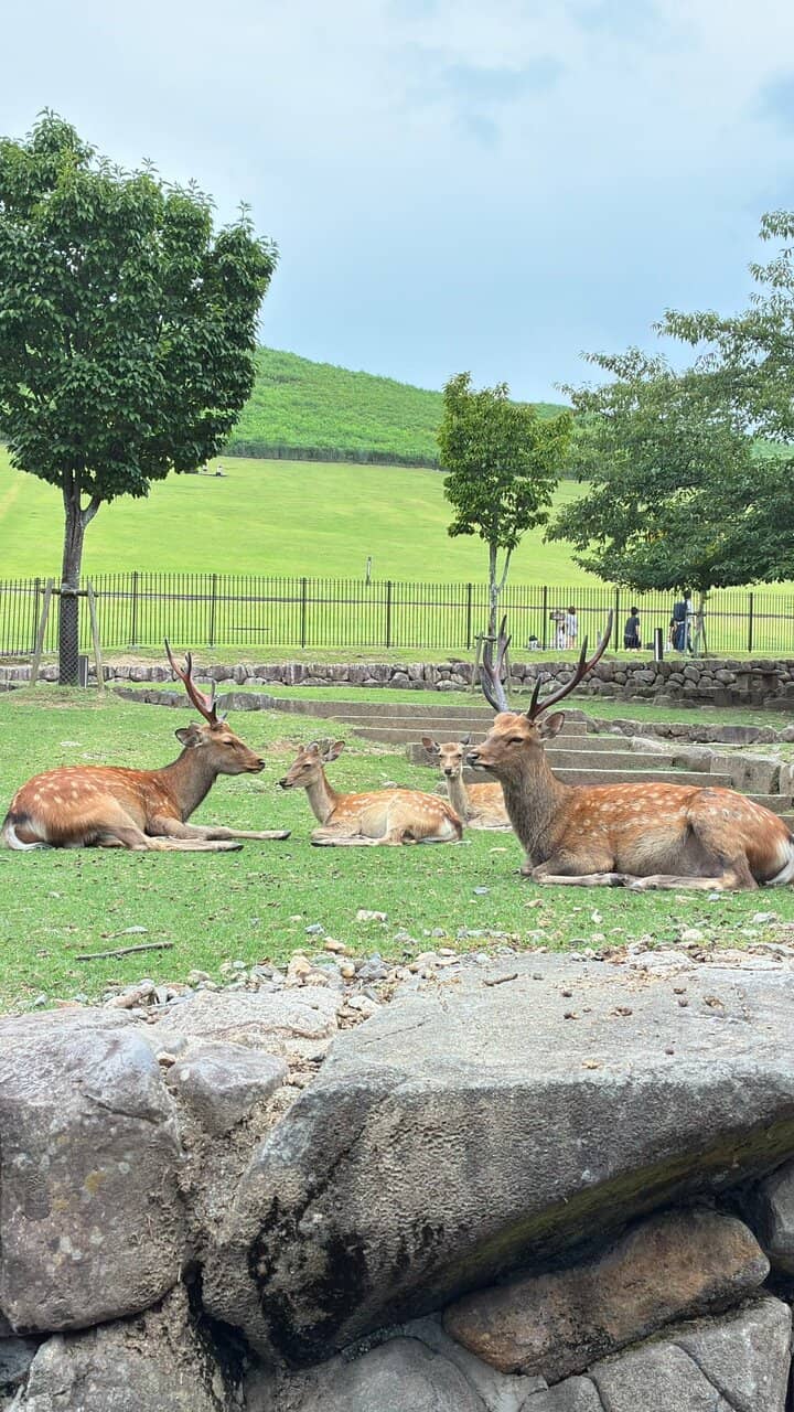 Golden Hour Ambiance