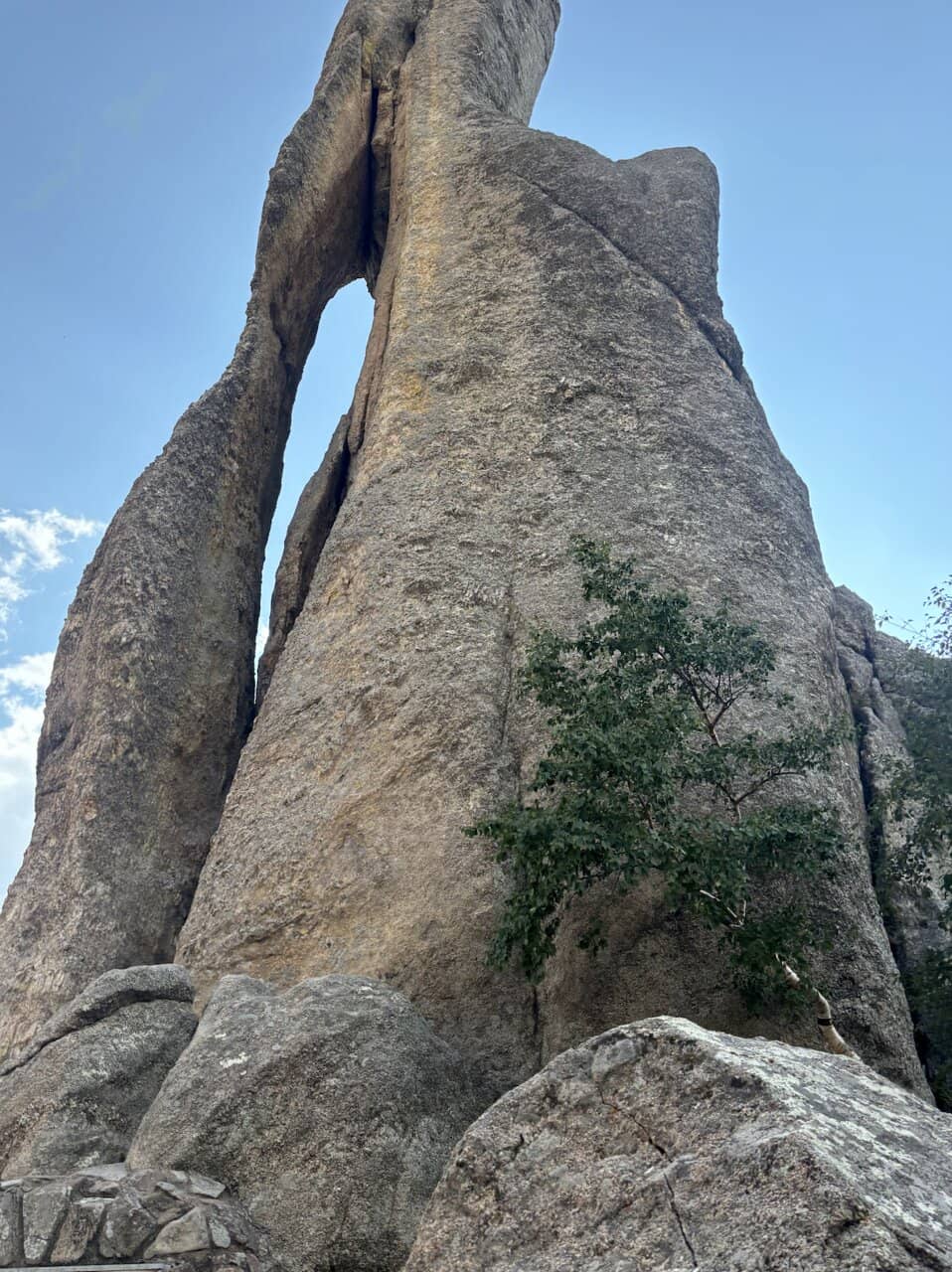 Vertical photo
