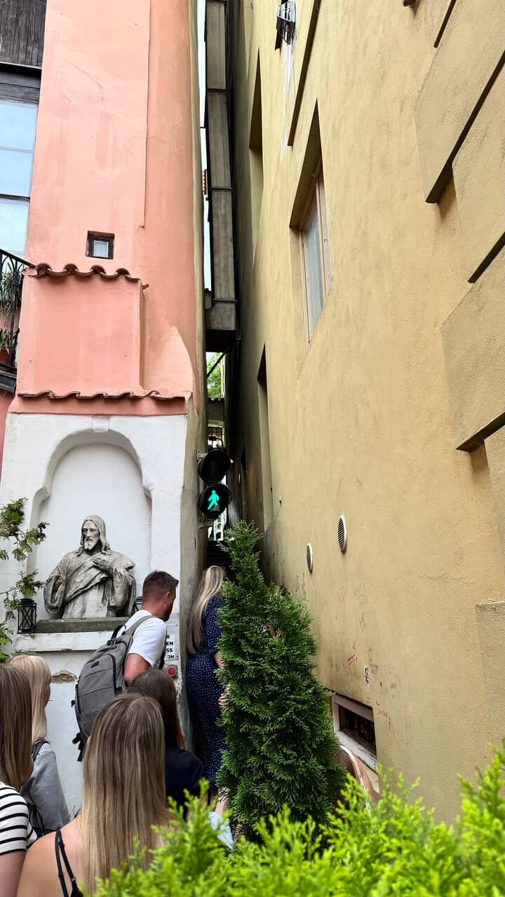 Vertical photo