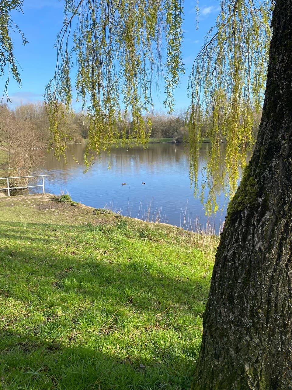 Vertical photo