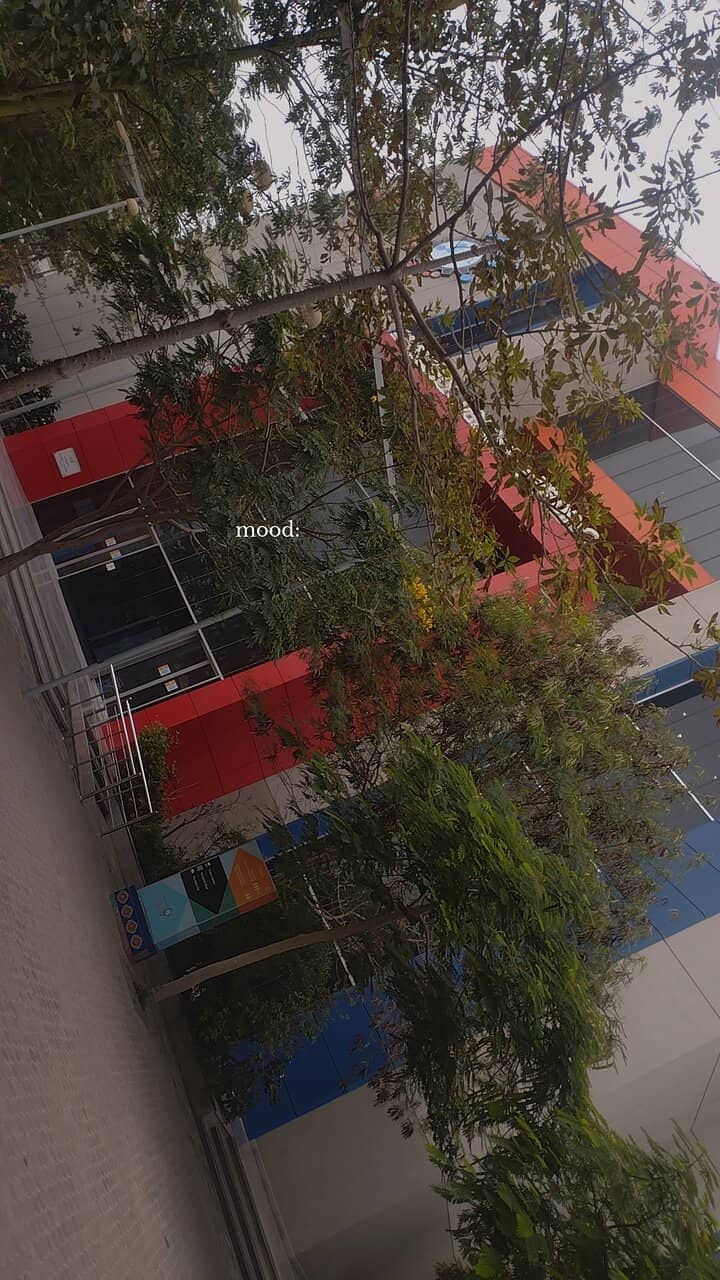Foodology Cafe