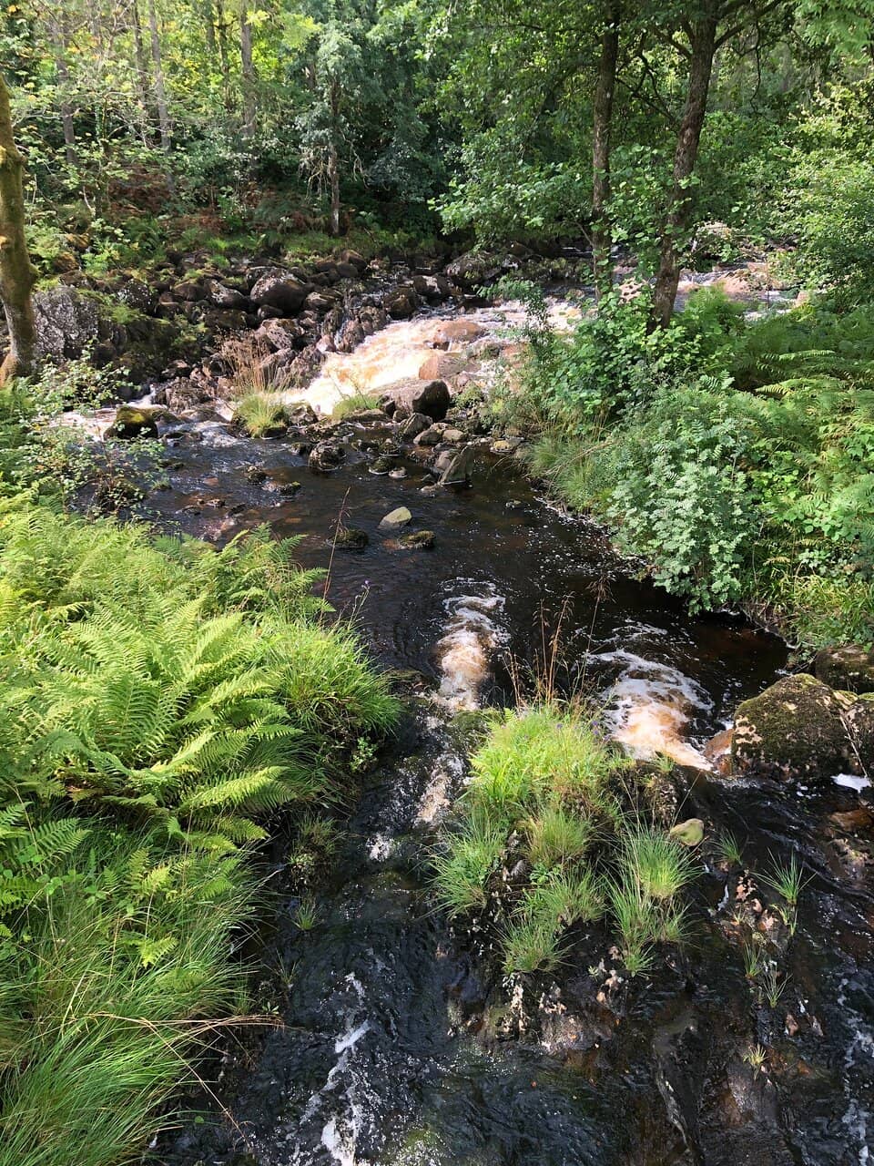Vertical photo