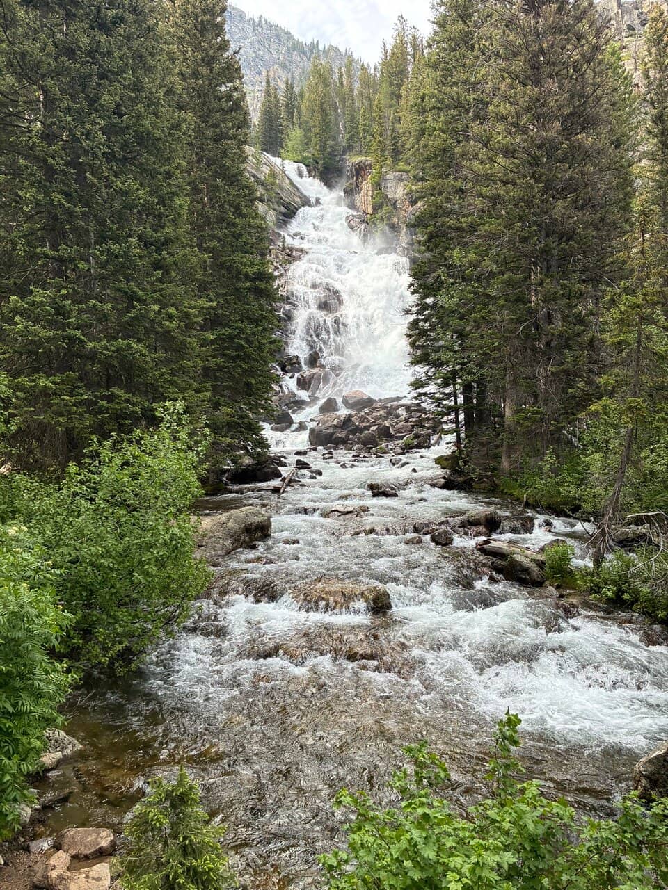 Vertical photo