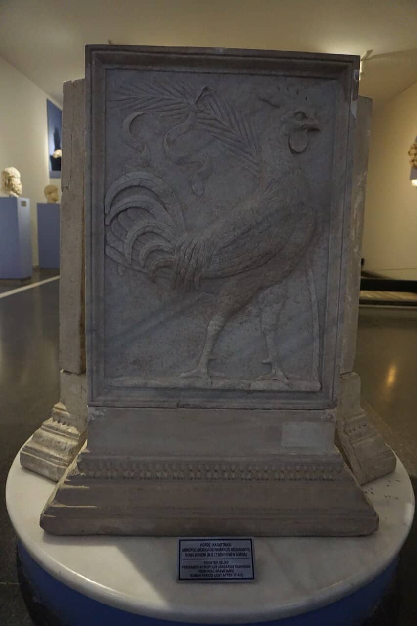 Rooster Relief