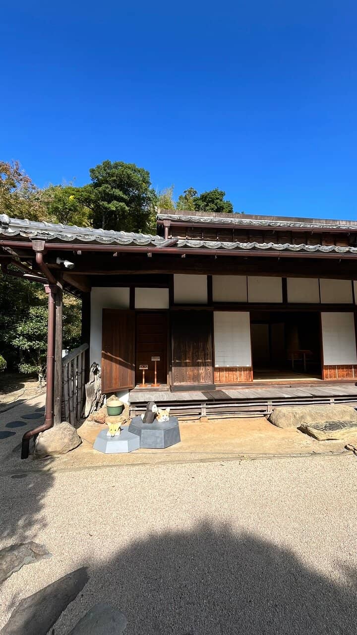 Tranquil Japanese Garden