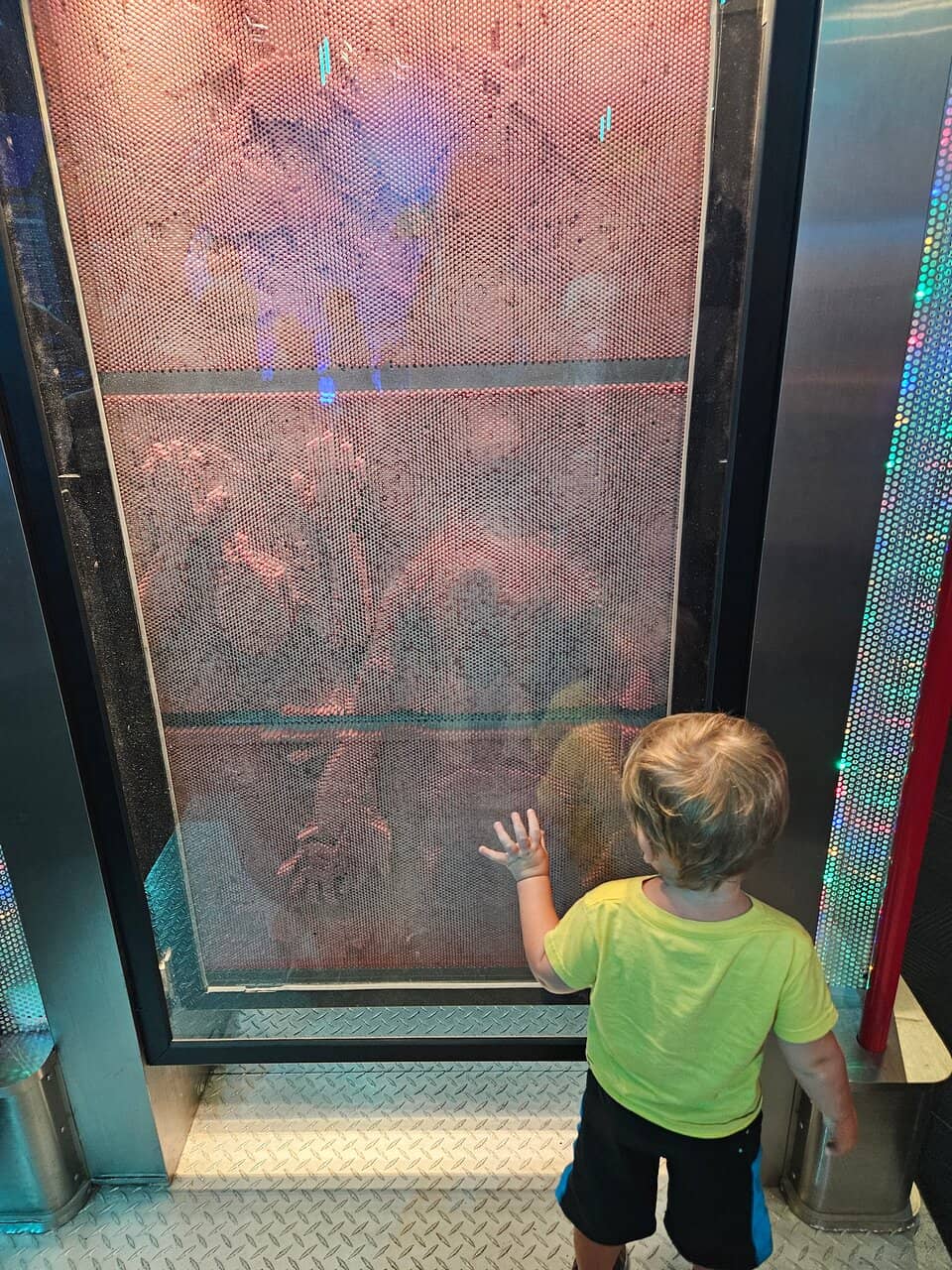 Upside-Down Building