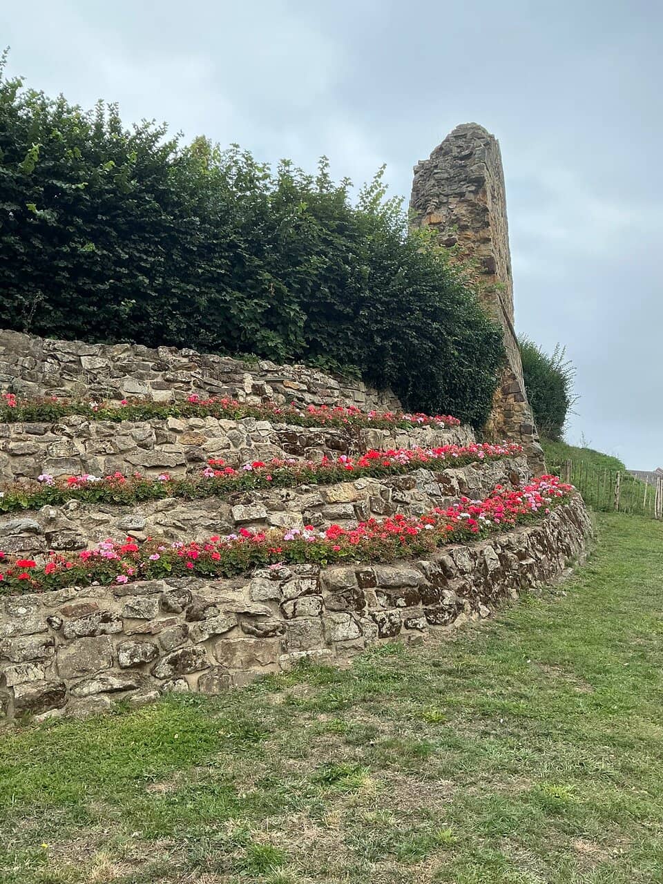 The Motte