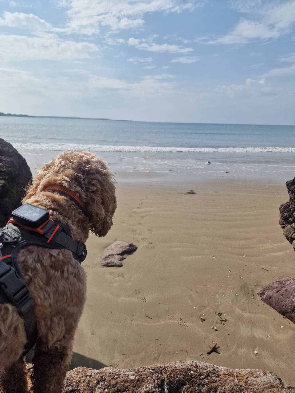Expansive Sandy Beach