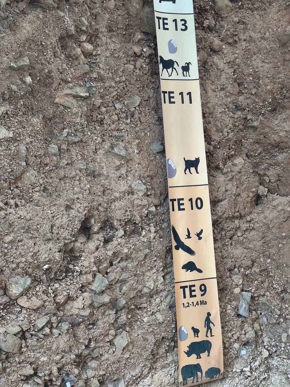 Experimental Archaeology Workshops