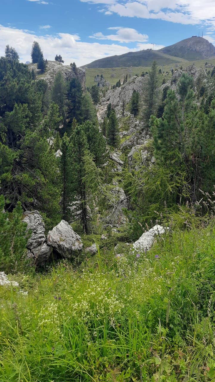 Vertical photo