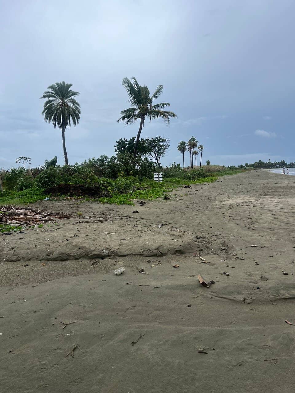 Local Culture Immersion