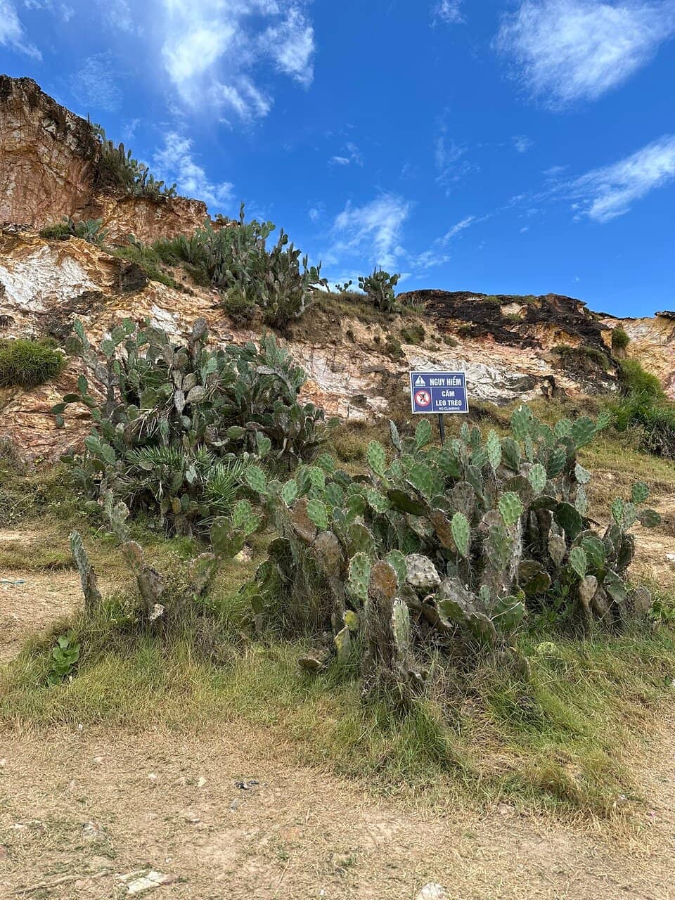 Crystal-Clear Turquoise Waters