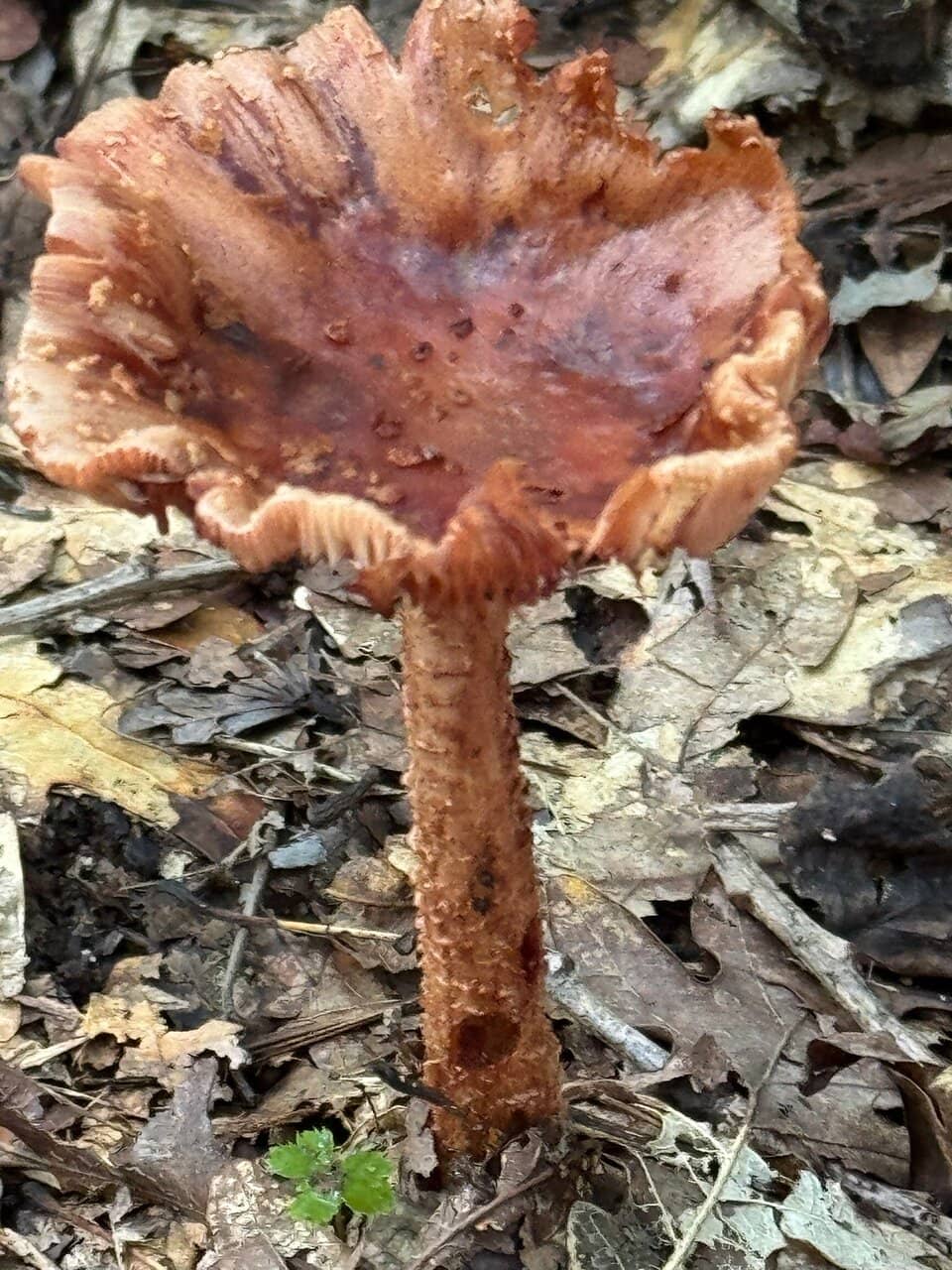 Vertical photo