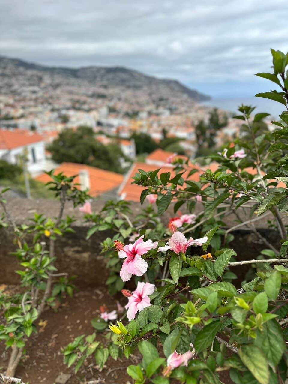 Small Historical Museum