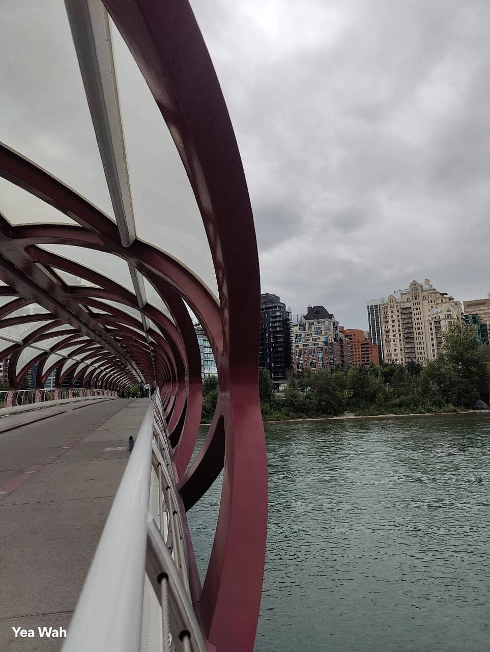 Golden Hour Photography