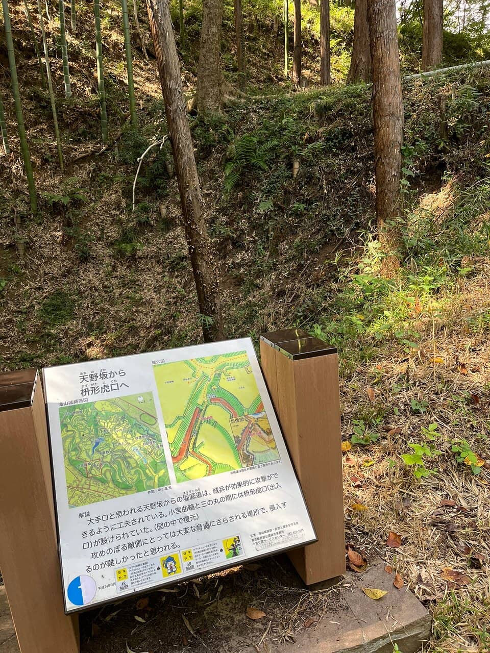 Reconstructed Bridge