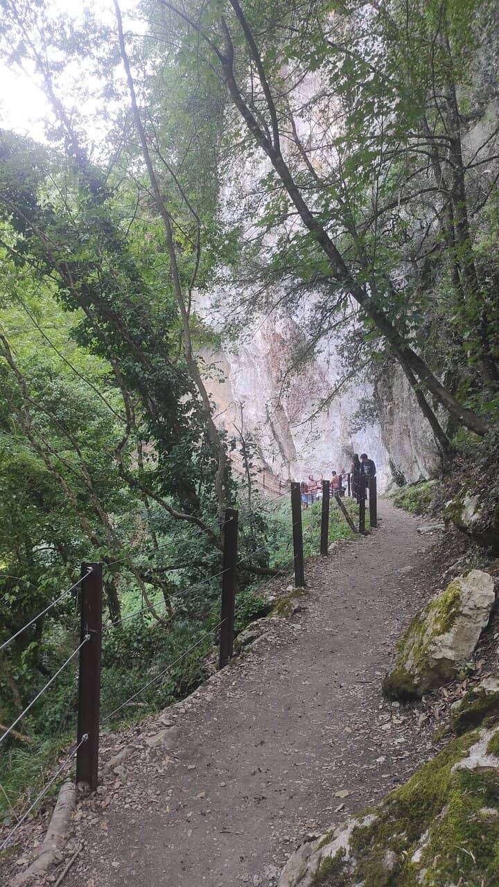 Scenic Woodland Trail