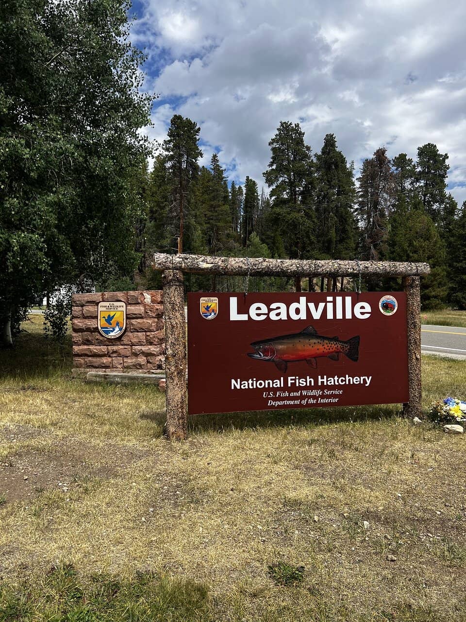 Cutthroat Trout Viewing