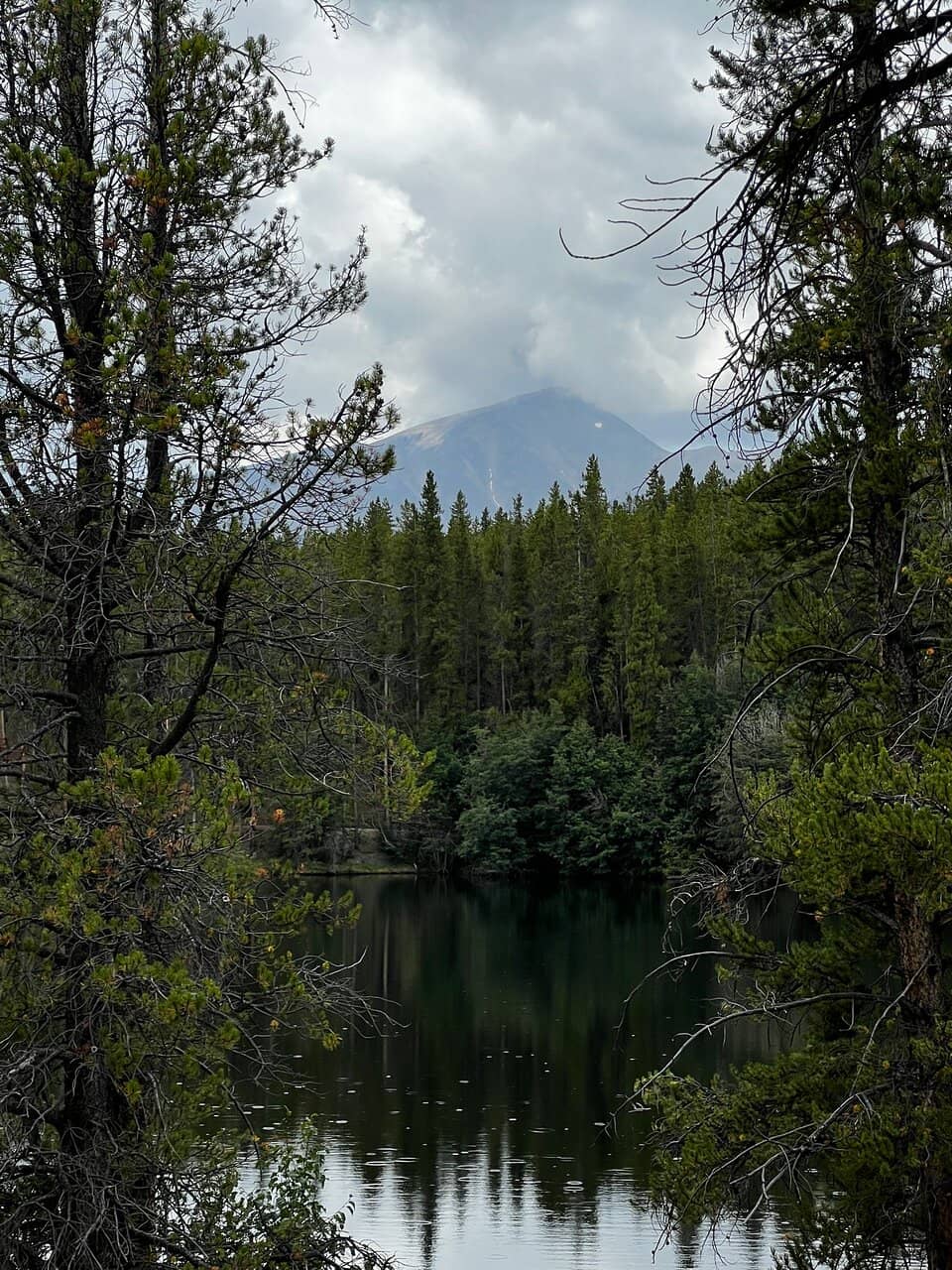 Nature Trails & Ponds