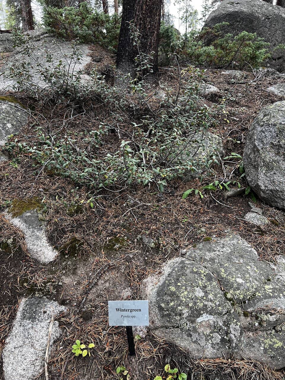 Historic Hatchery Building