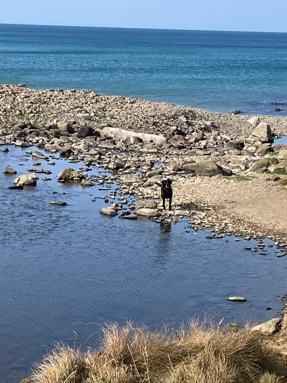 Rocky Exploration